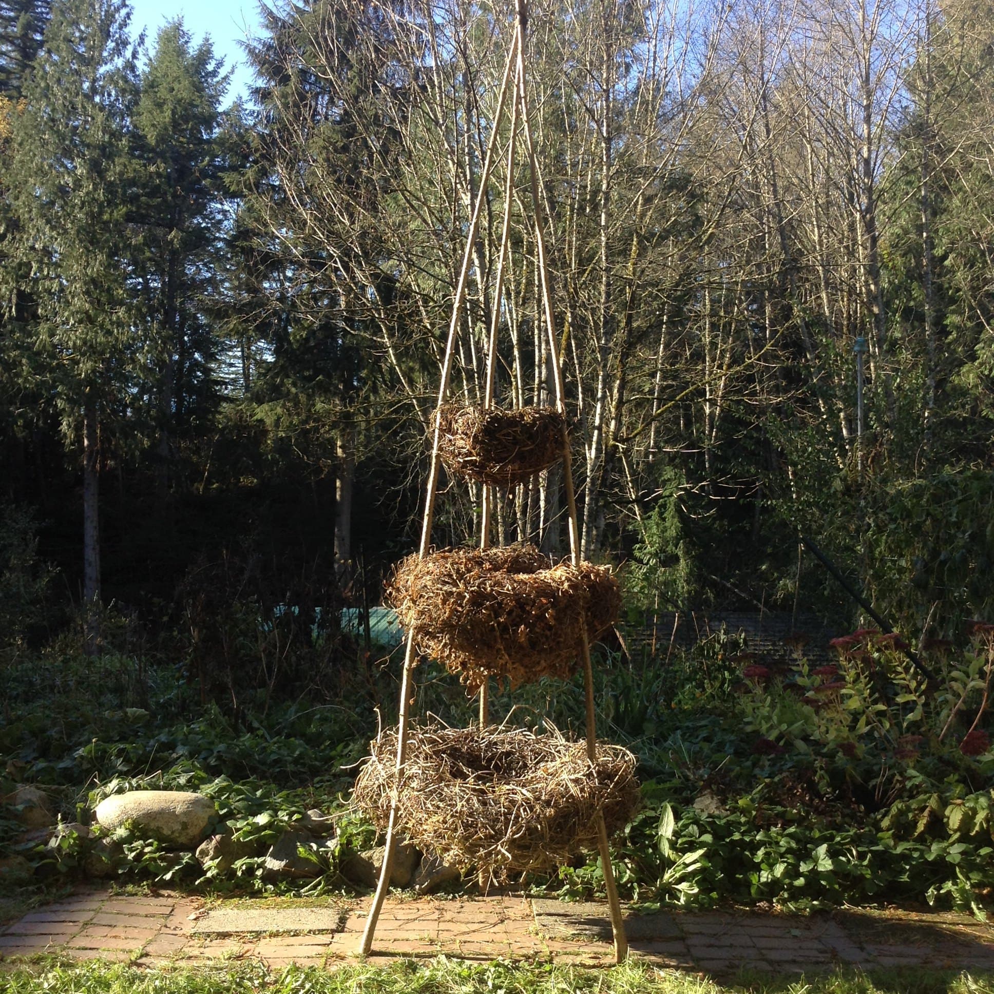 Burn Sculptures