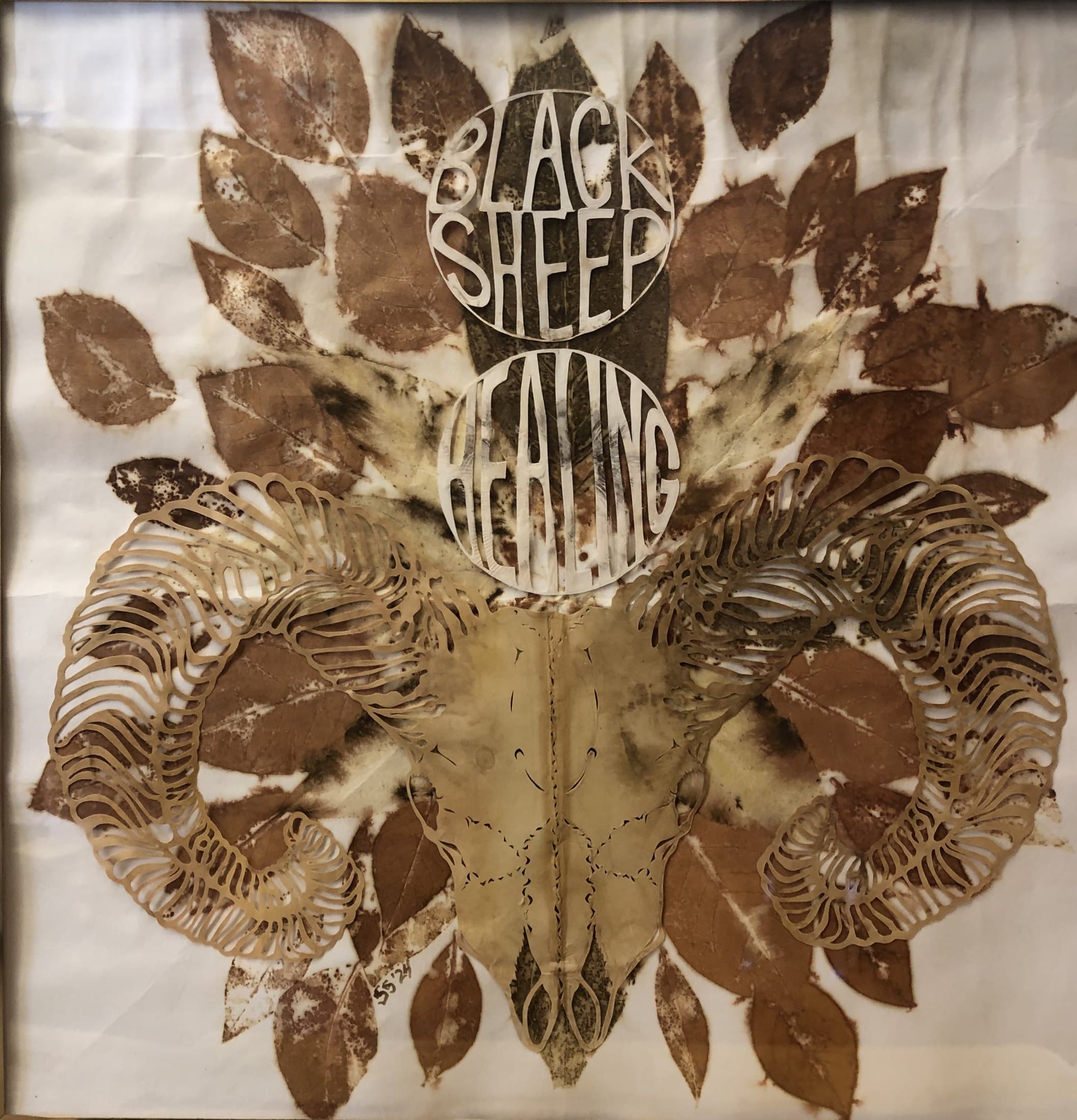 Black Sheep Healing
