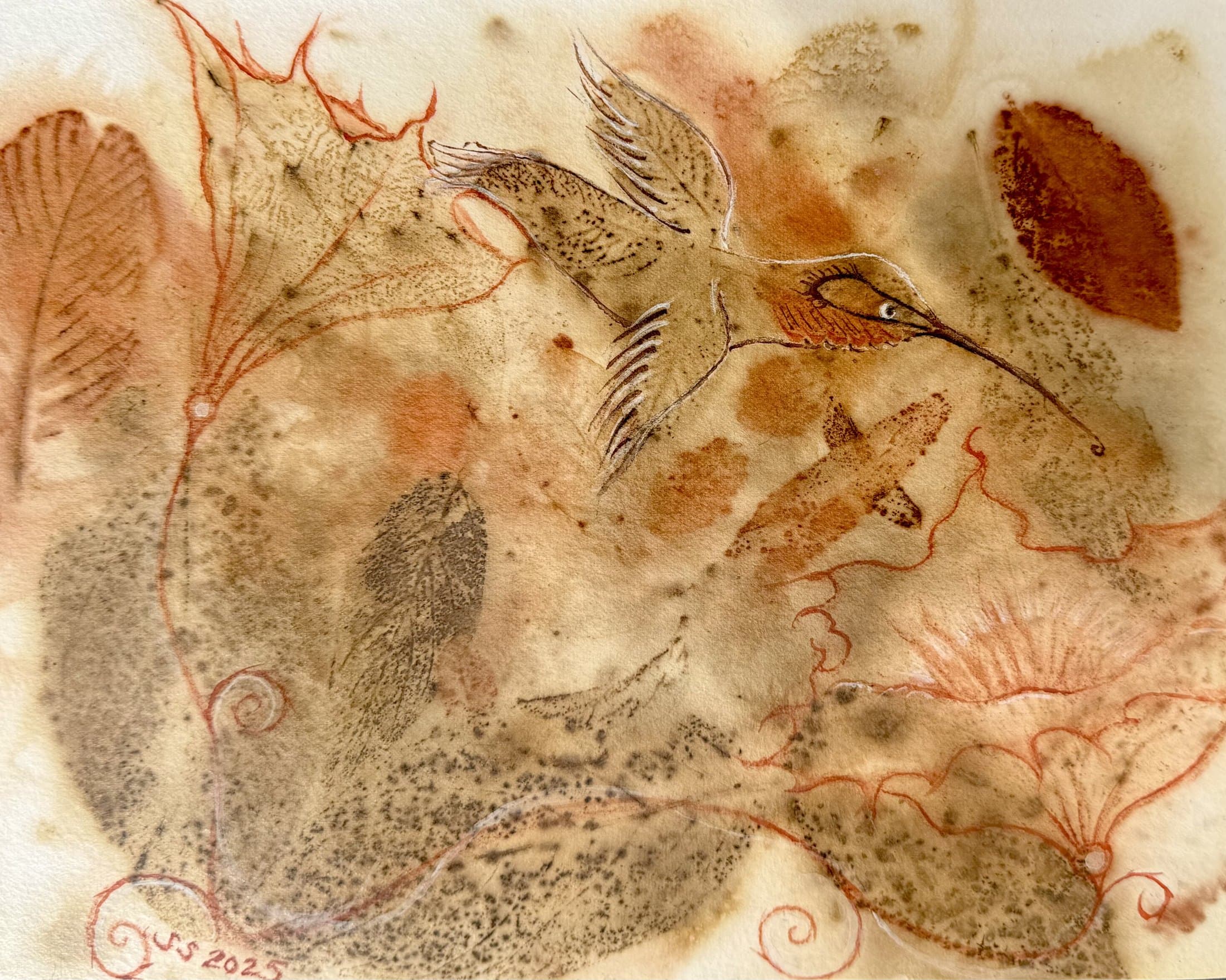 Hummingbird