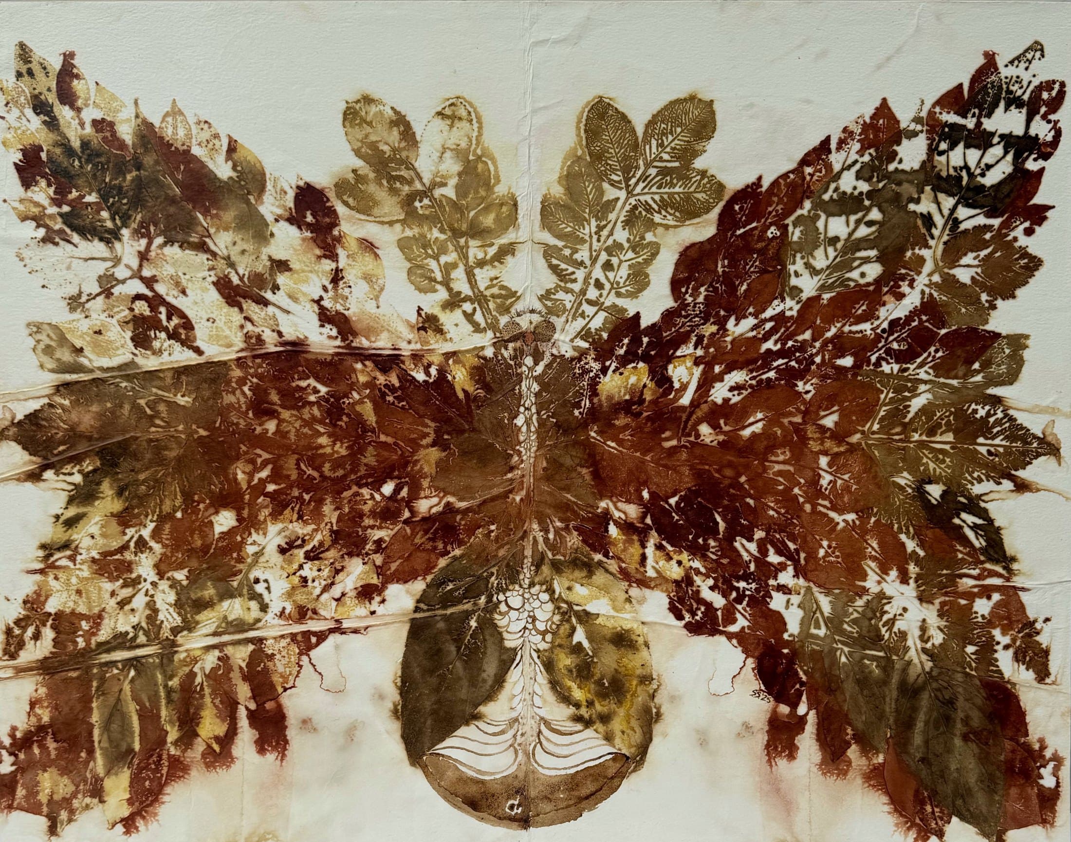 Moth